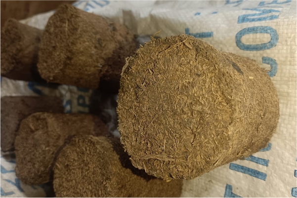 Cow Dung Briquettes